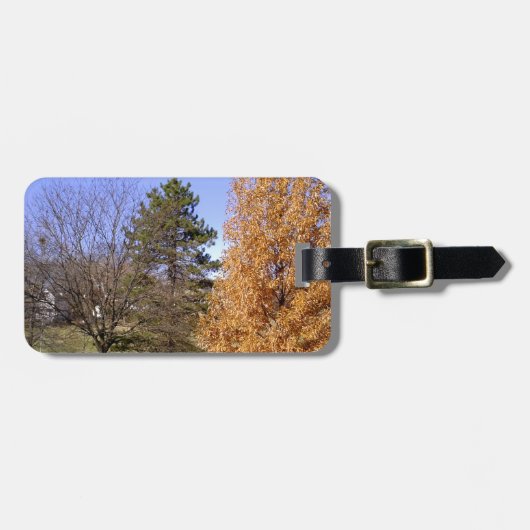 Étiquette À Bagage Arbres d'automne (Devant horizontal)