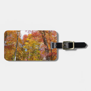 Étiquette À Bagage Arbres d'automne orange et jaune Photographie d'au