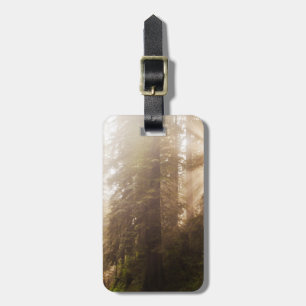 Étiquette À Bagage Arbres de séquoia dans le brouillard matinal avec
