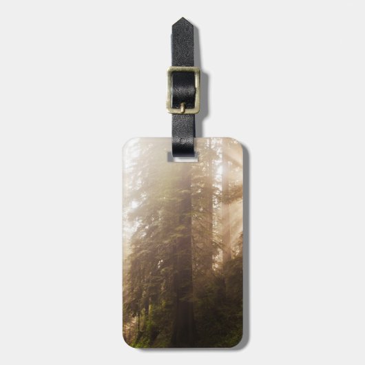 Étiquette À Bagage Arbres de séquoia dans le brouillard matinal avec  (Devant Vertical)