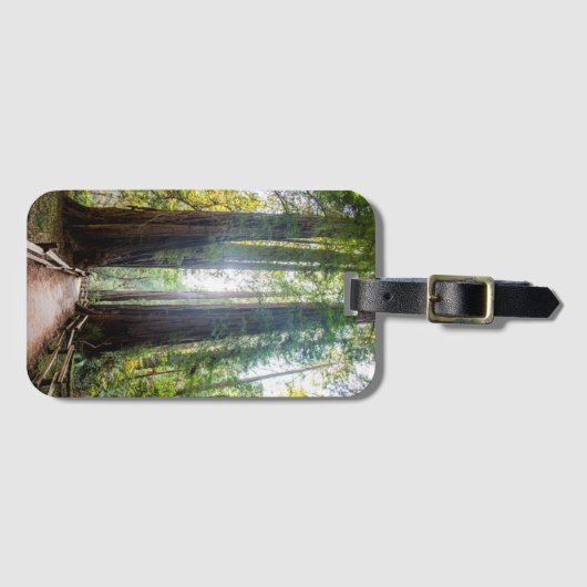 Étiquette À Bagage Arbres grands (Devant Horizontal)