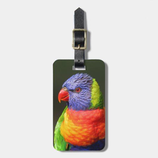Étiquette À Bagage Arc-en-ciel Lorikeet (Devant Vertical)