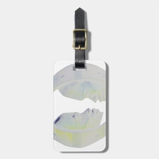 Étiquette À Bagage Architecture africaine Hakuna Matata (Devant Vertical)