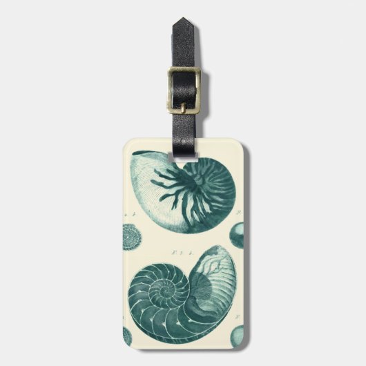 Étiquette À Bagage Art de coquillage rouge et vert (Devant Vertical)