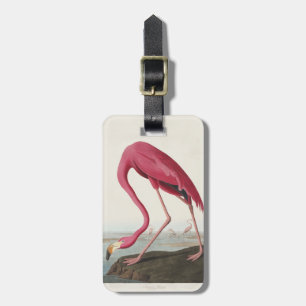 Étiquette À Bagage Art vintage d'Audubon sur le flamant rose américai