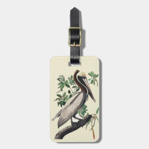 Étiquette À Bagage Art vintage d'Audubon sur le Pélican brun, oiseau