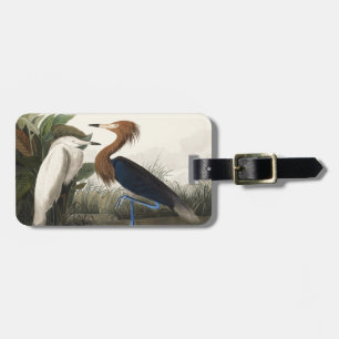 Étiquette À Bagage Art vintage de l'aigrette roussâtre d'Audubon