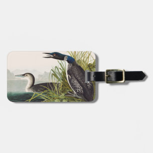 Étiquette À Bagage Art vintage de l'oiseau plongeon huard d'Audubon