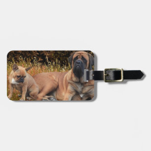 Étiquette À Bagage Attache pour valise Bouledogue français Mastiff