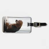 Étiquette À Bagage Attitude beagle (Devant horizontal)