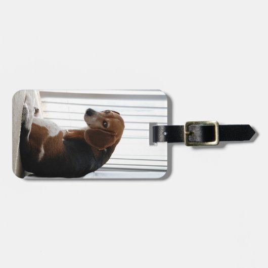 Étiquette À Bagage Attitude beagle (Devant horizontal)