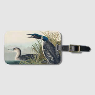 Étiquette À Bagage Audubon Bird Loon Diver Classic