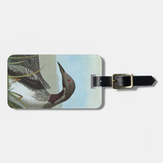 Étiquette À Bagage Audubon : Dingue arctique (Devant horizontal)