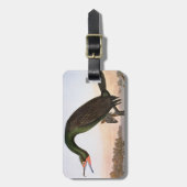 Étiquette À Bagage Audubon : Double Cormorant crêté (Devant Vertical)
