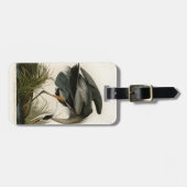 Étiquette À Bagage Audubon Great Blue Heron Marsh Bird (Devant horizontal)