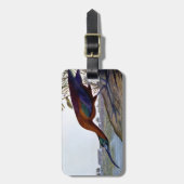 Étiquette À Bagage Audubon : IBIS brillant (Devant Vertical)