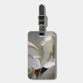 Étiquette À Bagage Audubon : La mouette de Bonaparte (Devant Vertical)