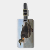 Étiquette À Bagage Audubon : Macreuse noire (Devant Vertical)