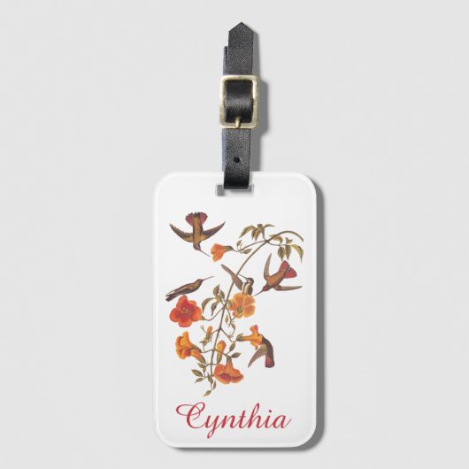 Étiquette À Bagage Audubon Mango Colibri en Gem Colonnes (Devant Vertical)