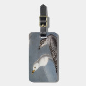 Étiquette À Bagage Audubon : Mouette Anneau-Affichée (Devant Vertical)