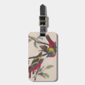 Étiquette À Bagage Audubon Peint Bunting Bird Wildlife (Devant Vertical)