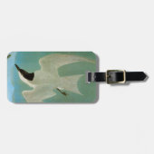 Étiquette À Bagage Audubon : Sterne Mouette-Affichée (Devant horizontal)