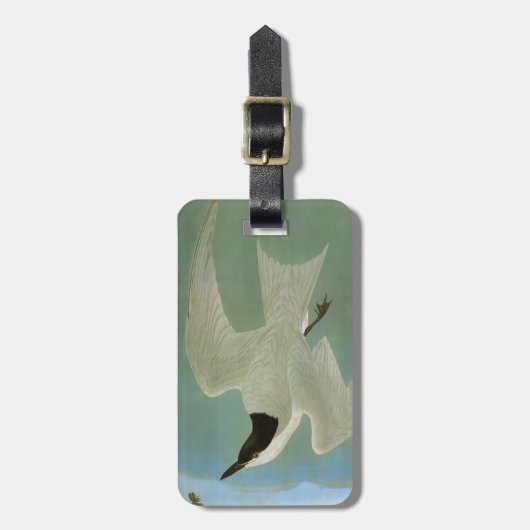 Étiquette À Bagage Audubon : Sterne Mouette-Affichée (Devant Vertical)