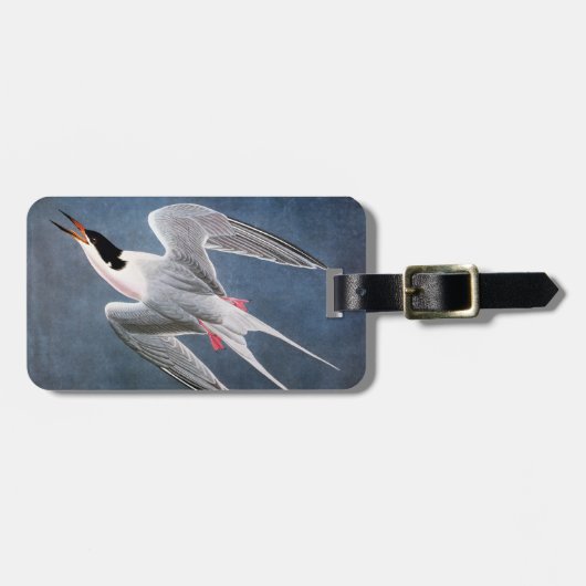 Étiquette À Bagage Audubon : Sterne rose (Devant horizontal)