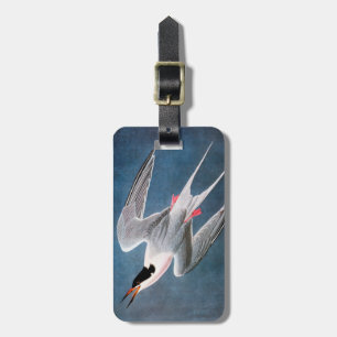 Étiquette À Bagage Audubon : Sterne rose