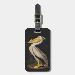 Étiquette À Bagage Audubon White Pelican Bird Amérique