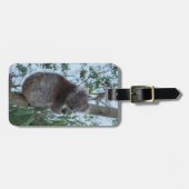 Étiquette À Bagage Australie Kangaroo Island Cute Koala dans un arbre (Devant horizontal)