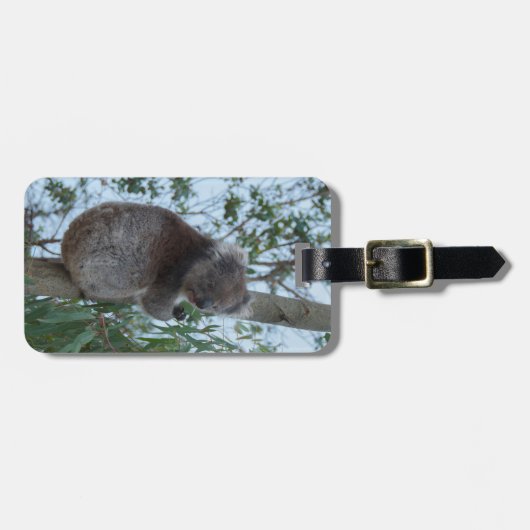 Étiquette À Bagage Australie Kangaroo Island Cute Koala dans un arbre (Devant horizontal)