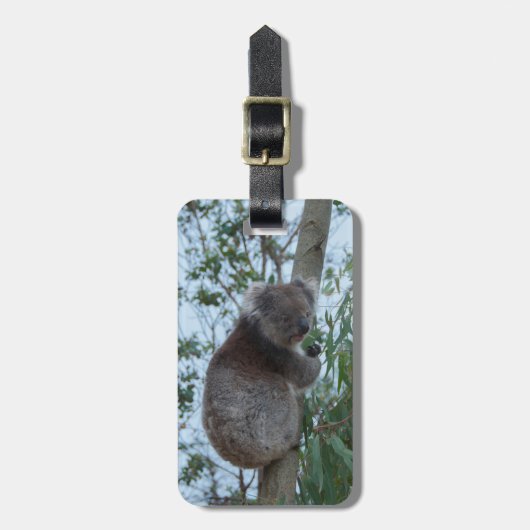 Étiquette À Bagage Australie Kangaroo Island Cute Koala dans un arbre (Devant Vertical)
