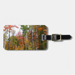 Étiquette À Bagage Automne dans la forêt Colorée Photographie d'autom