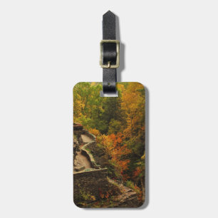 Étiquette À Bagage Automne dans le Parc d'Etat de Treman
