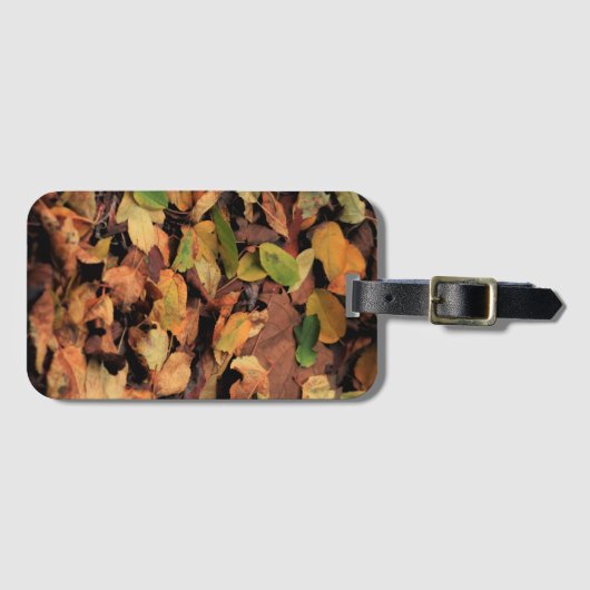Étiquette À Bagage automne, feuille sec (Devant Horizontal)