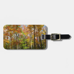 Étiquette À Bagage Automne Forêt II Automne Paysage Photographie