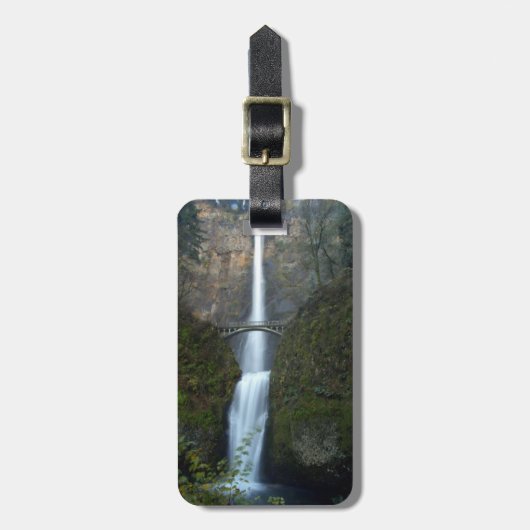 Étiquette À Bagage Automnes de Multnomah (Devant Vertical)