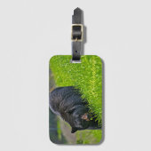 Étiquette À Bagage Bagage en pierre jaune Balise-Ours noir (Devant Vertical)