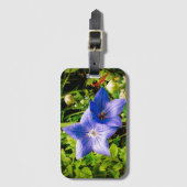 Étiquette À Bagage Baisses de rosée de matin sur une fleur de ballon (Devant Vertical)