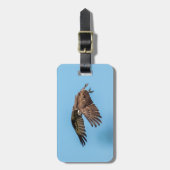 Étiquette À Bagage Balbuzard pêcheur en vol au Honeymoon Island State (Devant Vertical)