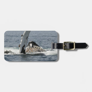 Étiquette À Bagage Baleine à bosse