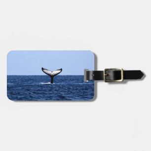 Étiquette À Bagage Baleine à bosse en océan