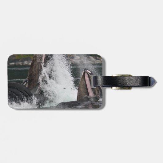 Étiquette À Bagage baleines (Dos horizontal)