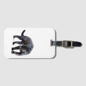 Étiquette À Bagage Balise bagage blanche Jaguar Diablo (Devant Horizontal)