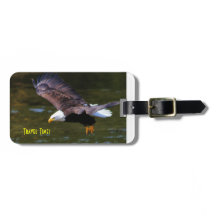 Balise bagage de Bald Eagle