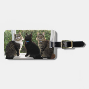 Étiquette À Bagage Balise Bagage de trois amis de chat