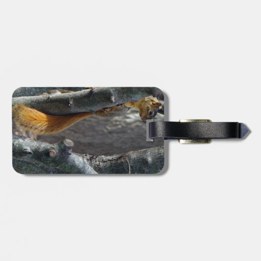 Étiquette À Bagage Balise Bagage d'écureuil (Dos horizontal)