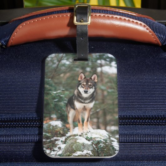 Étiquette À Bagage Balise Bagage Wolfdog (Insitu Rectoal 2)