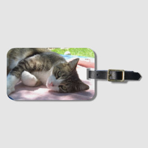 Étiquette À Bagage Balise Big Boy Cat sur les bagages de table